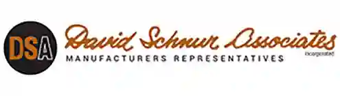 David Schnur Associates 